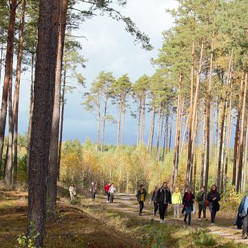 Dzień Krajobrazu - Poznaję i doświadczam Wdzydzki Park Krajobrazowy grafika