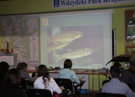 Grafika 3: Konkurs „ Różnorodność biologiczna wód Wdzydzkiego Parku Krajobrazowego” rozstrzygnięty