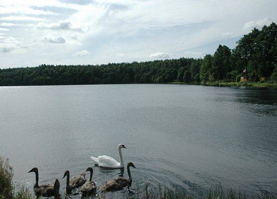 Jezioro Mieliste