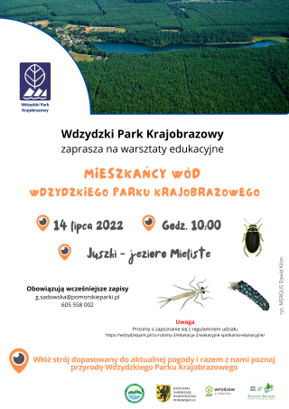 Mieszkańcy wód Wdzydzkiego Parku Krajobrazowego – zaproszenie na warsztaty grafika