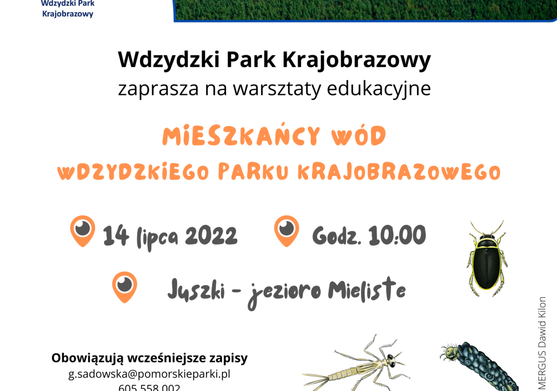 Grafika 1: Mieszkańcy wód Wdzydzkiego Parku Krajobrazowego – zaproszenie na warsztaty