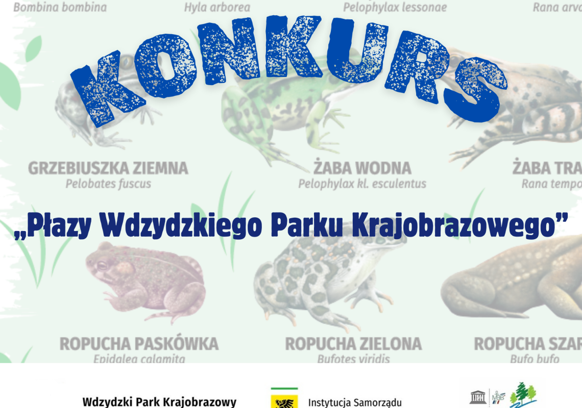 Grafika 1: Zaproszenie na konkurs „Płazy Wdzydzkiego Parku Krajobrazowego - Znamy nasze płazy”