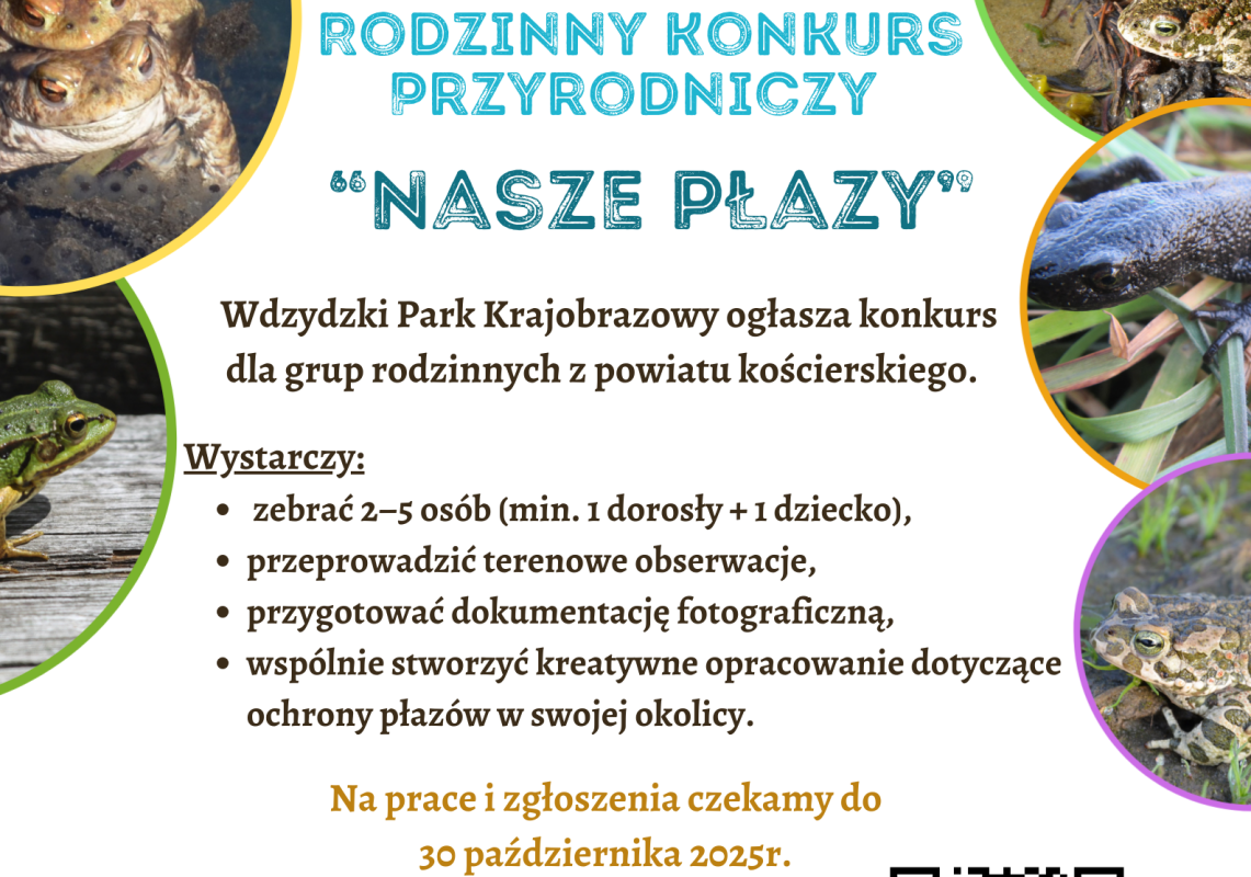 Plakat promujący konkurs dla rodzin z powiatu kościerskiego. Kolorowe zdjęcia płazów i hasło zachęcające do wspólnego odkrywania przyrody. Zadanie: obserwacje terenowe, zdjęcia i opracowanie koncepcji ochrony płazów. Termin nadsyłania prac: do 30
