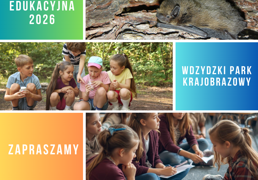 plakat zapraszający do skorzystania z ofert edukacyjnej. Na plakacie w poziomie 3 zdjęcia, na jednym nietoperz na dwóch pozostałych grupki dzici wsłuchane i oglądające coś. Tekst w 3 kolorowych kwadratowych ramkach.