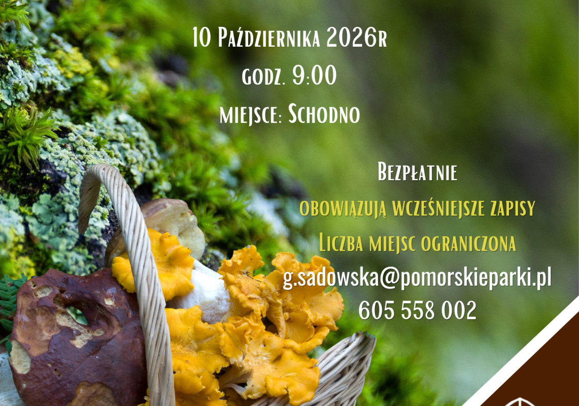Plakat zaprszający na warsztaty  tekst zaproszenie z informacjami szcegółowymi na tle porośniętego na zielono pnia drzewa i koszyka z grzybami