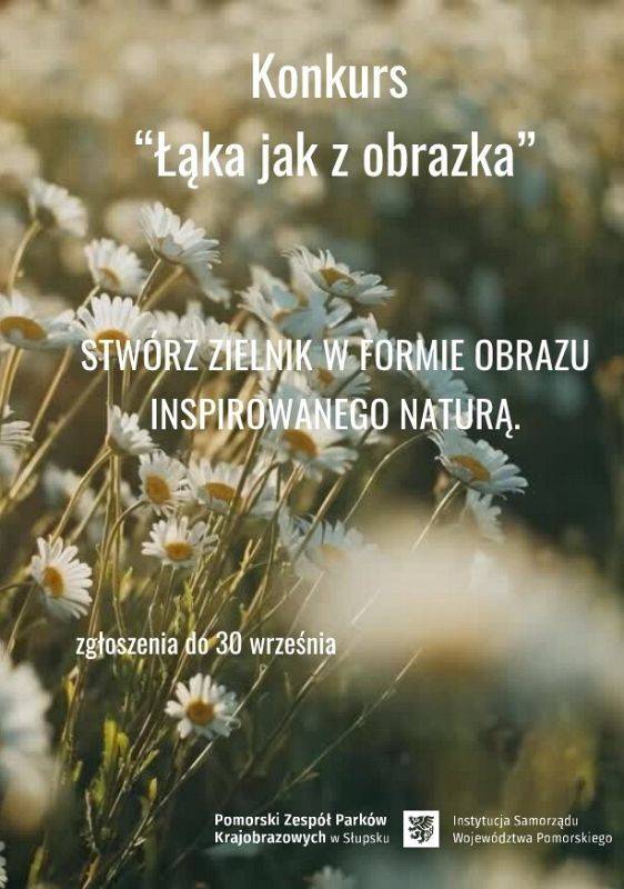Łąka jak z obrazka – konkurs zielnikowy Grafika Łąka jak z obrazka – konkurs zielnikowy