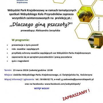 Grafika Dlaczego giną pszczoły?