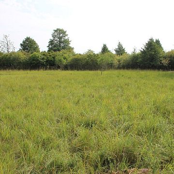 Czynna ochrona na wyspie Sidły Grafika Czynna ochrona na wyspie Sidły