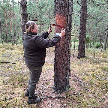 Grafika Nowy szlak rowerowy we Wdzydzkim Parku Krajobrazowym---geologiczny