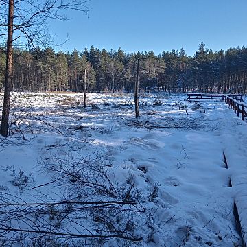 Grafika Ochrona siedlisk i gatunków na użytku ekologicznym „Żabińskich Błoto” we Wdzydzkim Parku Krajobrazowym