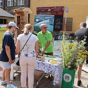 Jarmark św. Dominika z przyrodą Wdzydzkiego Parku Krajobrazowego Grafika Jarmark św. Dominika z przyrodą Wdzydzkiego Parku Krajobrazowego