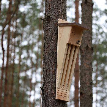 Nowe budki lęgowe dla ptaków i schrony dla nietoperzy we Wdzydzkim Parku Krajobrazowym grafika