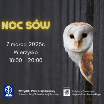 Grafika Noc sów z Wdzydzkim Parkiem Krajobrazowym