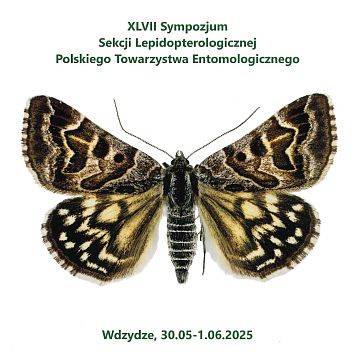 Grafika Sympozjum Sekcji Lepidopterologicznej Polskiego Towarzystwa Entomologicznego