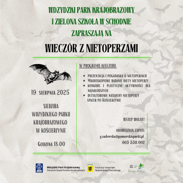 Grafika Zaproszenie na wieczór z nietoperzami