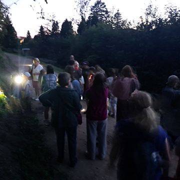 Grafika Nietoperze w centrum uwagi – relacja z Międzynarodowej Nocy Nietoperzy w Kościerzynie