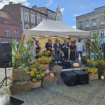 Grafika Pomorski EkoFestiwal w Kościerzynie – święto ekologii, smaku i edukacji