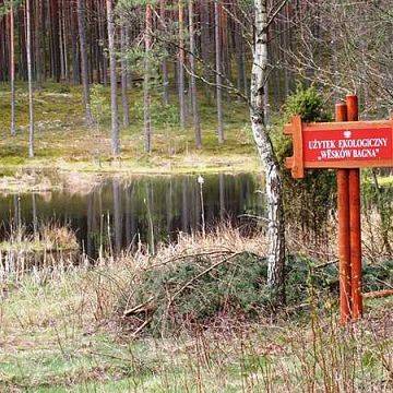 Oznakowanie miejsc cennych przyrodniczo na obszarze Wdzydzkiego Parku Krajobrazowego grafika