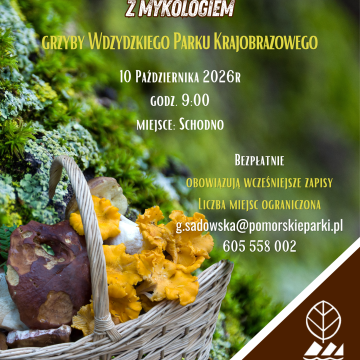 Grafika Grzyby Wdzydzkiego Parku Krajobrazowego - zaproszenie na warsztaty