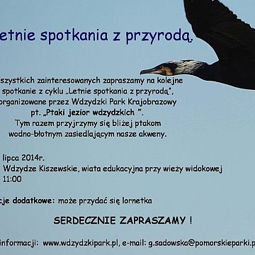 Grafika „Letnie spotkania z przyrodą 2”