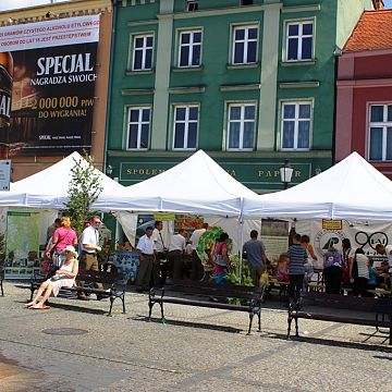 Grafika Obchody 90-lecia Lasów Państwowych w Kościerzynie