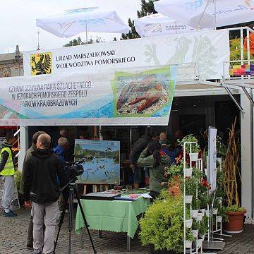 Grafika DZIEŃ RAKA SZLACHETNEGO na Jarmarku Św. Dominika w Gdańsku