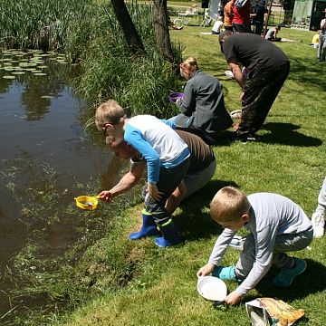 Warsztaty edukacyjne „Mieszkańcy naszych jezior” Grafika Warsztaty edukacyjne „Mieszkańcy naszych jezior”