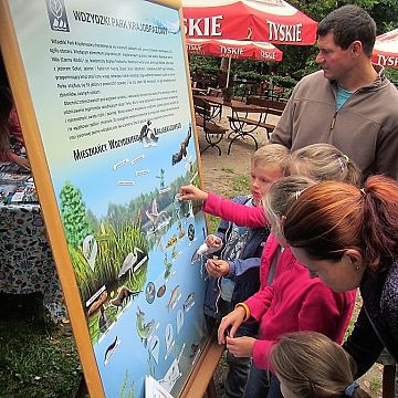 Zakończenie wakacji na półwyspie Lipa we Wdzydzkim Parku Krajobrazowym. Grafika Zakończenie wakacji na półwyspie Lipa we Wdzydzkim Parku Krajobrazowym.