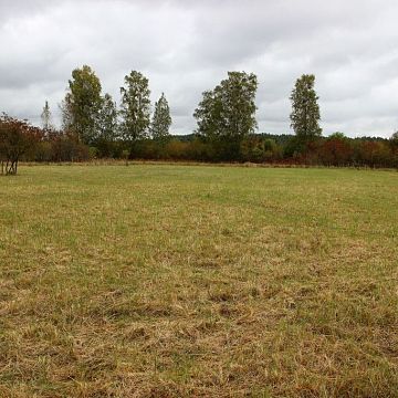 Grafika Czynna ochrona na wyspie Sidły