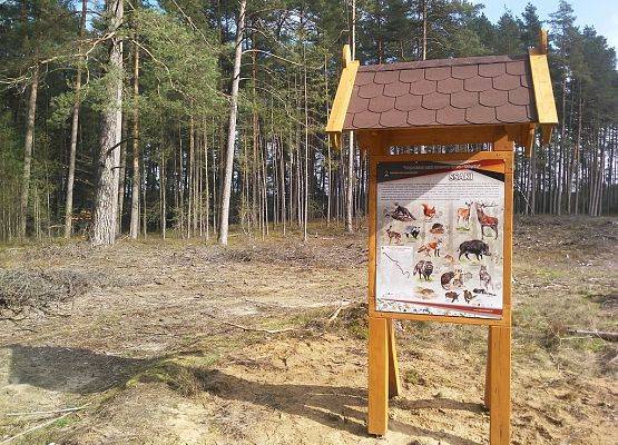Grafika 2: Nowe zagospodarowanie edukacyjno - turystyczne Wdzydzkiego Parku Krajobrazowego