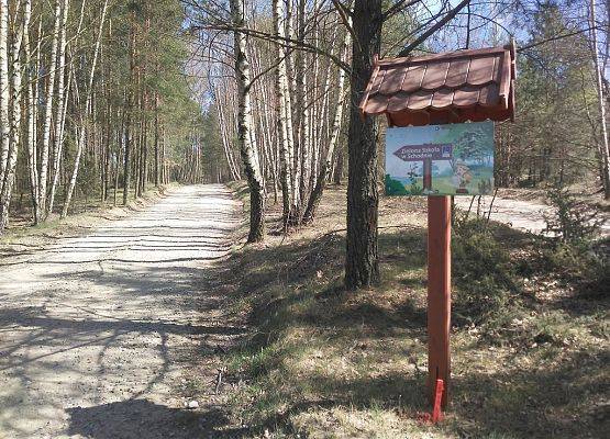 Grafika 16: Nowe zagospodarowanie edukacyjno - turystyczne Wdzydzkiego Parku Krajobrazowego