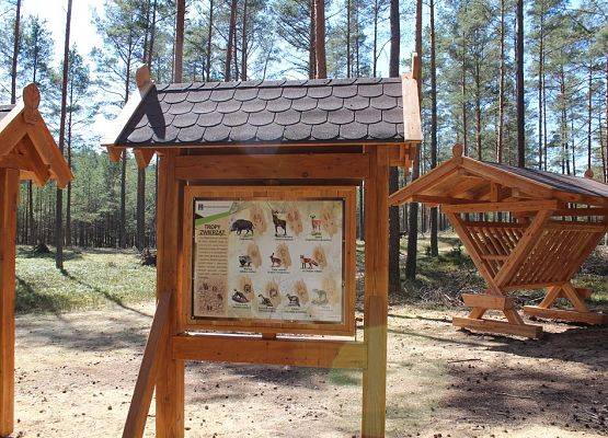 Grafika 19: Nowe zagospodarowanie edukacyjno - turystyczne Wdzydzkiego Parku Krajobrazowego