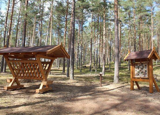 Grafika 21: Nowe zagospodarowanie edukacyjno - turystyczne Wdzydzkiego Parku Krajobrazowego