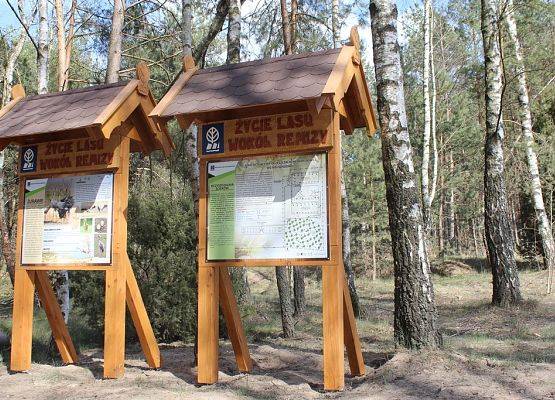 Grafika 32: Nowe zagospodarowanie edukacyjno - turystyczne Wdzydzkiego Parku Krajobrazowego