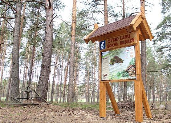 Grafika 40: Nowe zagospodarowanie edukacyjno - turystyczne Wdzydzkiego Parku Krajobrazowego