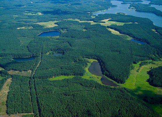 Grafika 5: Ochrona jezior Wdzydzkiego Parku Krajobrazowego