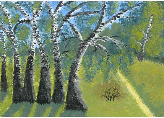 Grafika 16: Wyniki konkursu „Drzewa w krajobrazie Wdzydzkiego Parku Krajobrazowego”