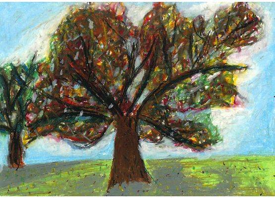 Grafika 18: Wyniki konkursu „Drzewa w krajobrazie Wdzydzkiego Parku Krajobrazowego”
