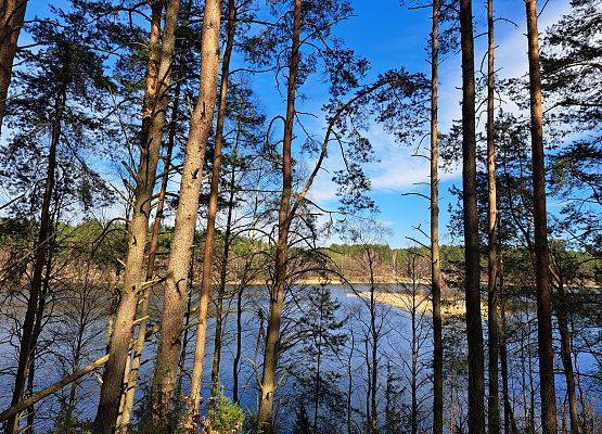 Widok przez las na jezioro Jelenie fot. M.Greinke
