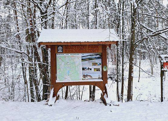 Witacz Parku w Grzybowskim Młynie ma tle zaśnieżonych drzew, fot. G. Sadowska