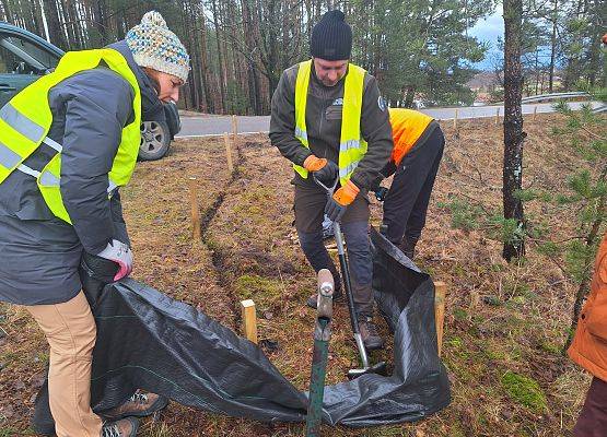 Pracownicy Wdzydzkiego Parku Krajobrazowego budują wygrodzenia w celu ochrony płazów. fot. G. Sadowska