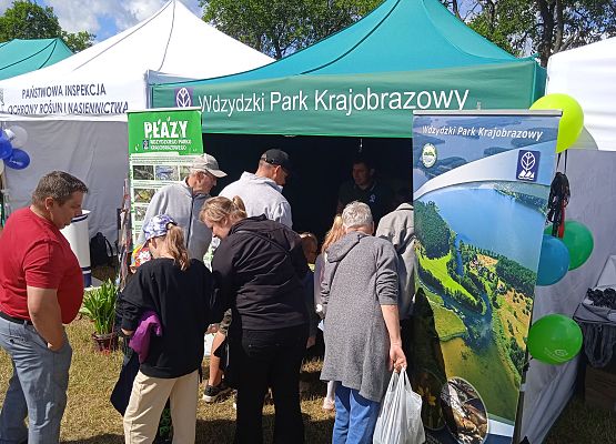 Uczestnicy targów przed namiotem Wdzydzkiego Parku Krajobrazowego, fot. K.Libera