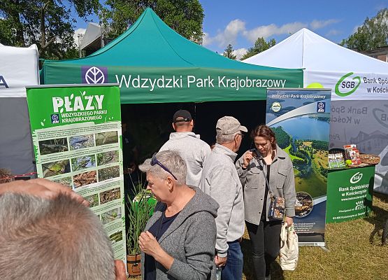 Widok na namiot Wdzydzkiego Parku oraz roli- up o płazach. fot. K.Libera