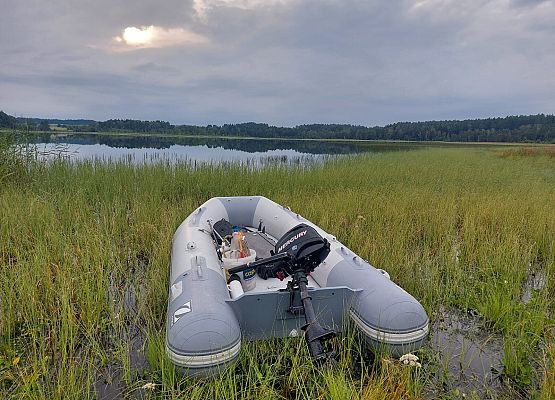 Ponton gotowy do wypłynięcia na zarośnietym brzegu jeziora Lipno, fot. A Patopowicz