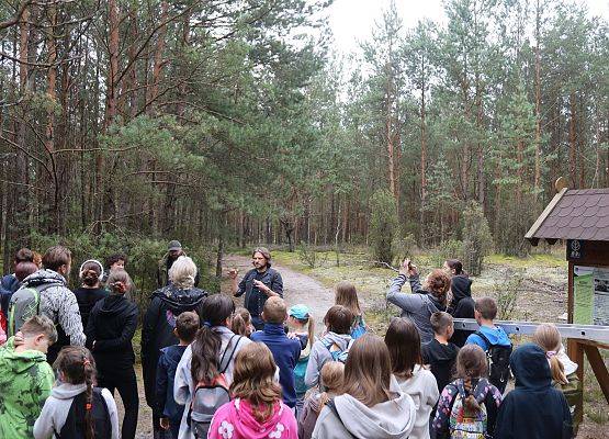 Grafika „Wieczór z nietoperzami” - to była fascynująca noc pełna odkryć