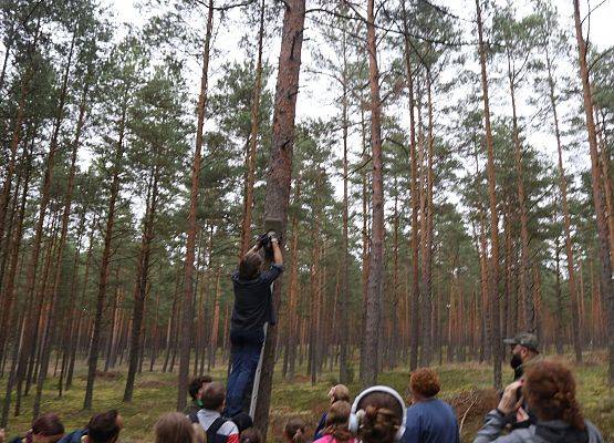 Grafika „Wieczór z nietoperzami” - to była fascynująca noc pełna odkryć