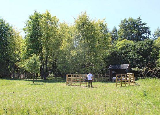 Grafika Poprawa i przywrócenie właściwego stanu ochrony gatunków chronionych poprzez wypas i koszenie półnaturalnych siedlisk łąkowych na wyspie Sidły.