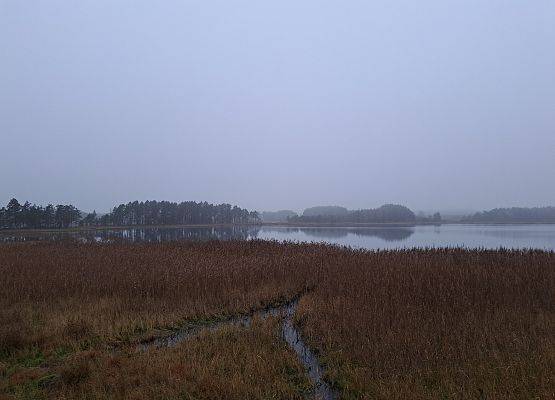 Miejsce badań - jezioro LIpno. fot. M.Greinke