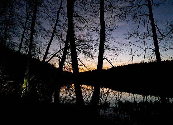 Widok przez drzewa na jezioro Księże. Pomarańcziwo - żółte niebo od zachodzącego Słońca.
