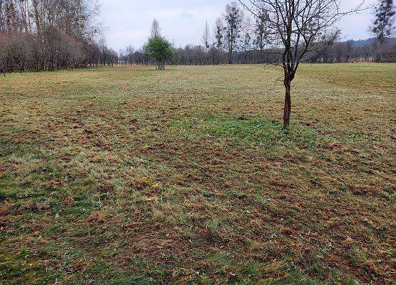 Widok na łakę na wyspach Sidły po usunięciu wojłoku.